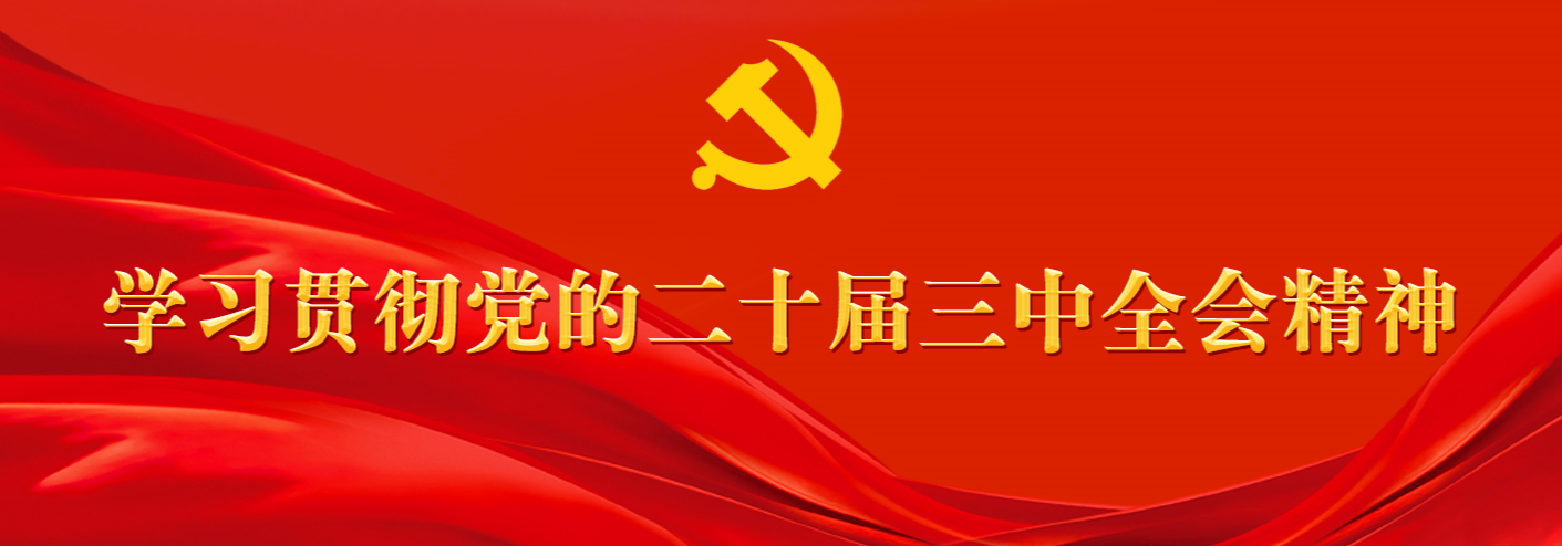 學(xué)習(xí)貫徹黨的二十屆三中全會精神